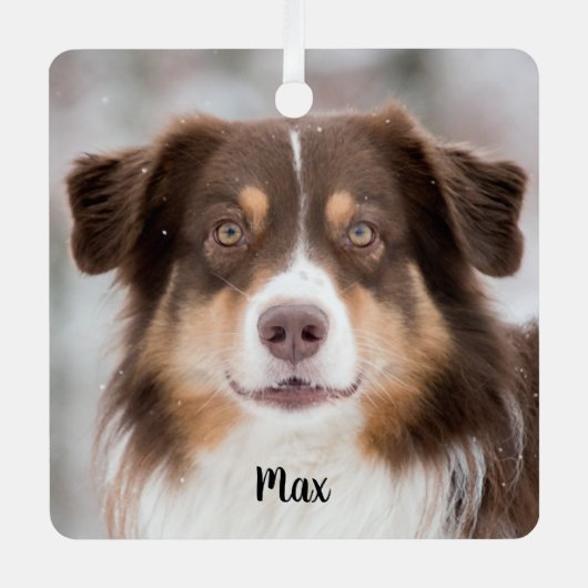 チョコレートオーストラリア羊飼い子犬 メタルオーナメント (正面)