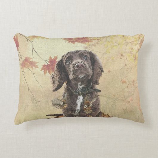 チョコレートコッカースパニエル犬子犬 アクセントクッション (正面)