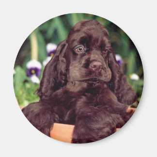 チョコレートコッカー磁石 マグネット