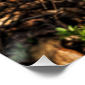 チョコレートコロナイースターバニー ポスター (コーナー)