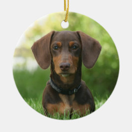 チョコレートダシュントドキシードッグ セラミックオーナメント