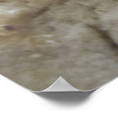 チョコレートチップクッキー ポスター (角)