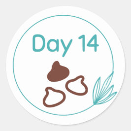 チョコレートテイスティングキットデイ14 ラウンドシール