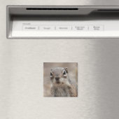 チョコレートドーナツ顔リス磁石 マグネット (インサイチュ (食洗機))