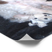 チョコレートパティプードルおもちゃ ポスター (角)