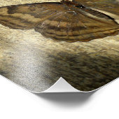 チョコレートパンシー・バタフライ フォトプリント            (角)