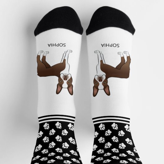 チョコレートブラウンボストンテリア名と手 ソックス (上部)