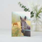 チョコレートブラウン ポストカード (スタンド正面)