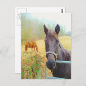 チョコレートブラウン ポストカード (正面/裏面)