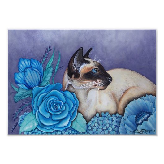 チョコレートポイントシャム フォトプリント            (正面)