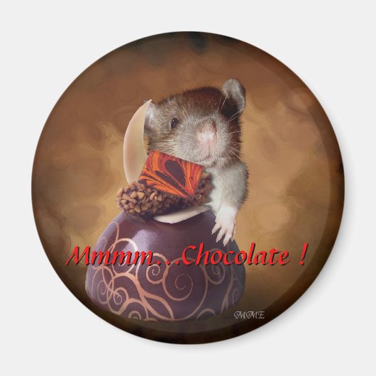 チョコレートマグネット マグネット (正面)