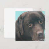 チョコレートラブドッグの招待状 招待状 (正面/裏面)