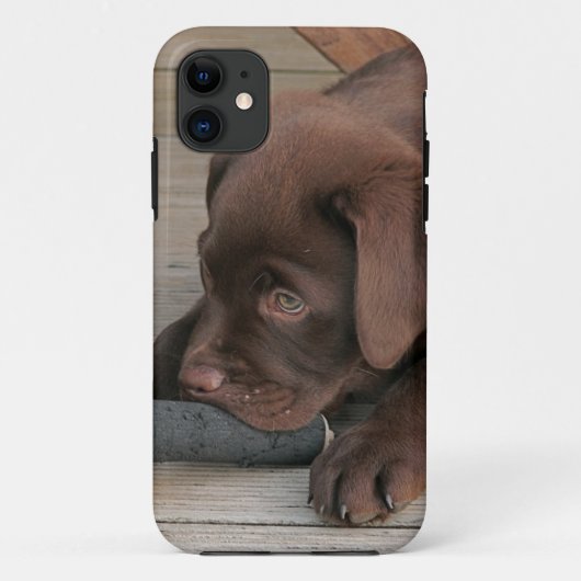チョコレートラブラドル・レトリーバー犬とのIphone 5の場合 Case-Mate iPhoneケース (裏面)