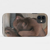 チョコレートラブラドル・レトリーバー犬とのIphone 5の場合 Case-Mate iPhoneケース (裏面(横))