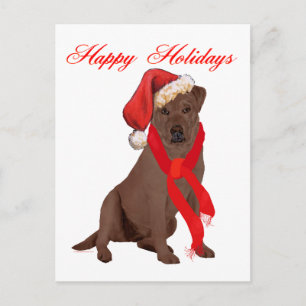 チョコレートラブラドル・レトリーバー犬のクリスマス シーズンポストカード
