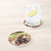 チョコレートラブラドールがボールで遊ぶ コースター (側面)