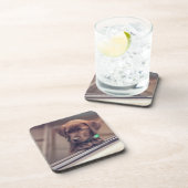 チョコレートラブラドールの子犬が車に乗る コースター (右側)