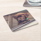 チョコレートラブラドールの子犬が車に乗る スクエアペーパーコースター (アングル)