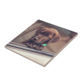 チョコレートラブラドールの子犬が車に乗る タイル (側面)