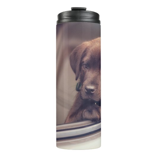 チョコレートラブラドールの子犬が車に乗る タンブラー (正面)