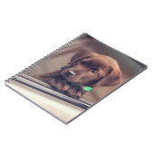 チョコレートラブラドールの子犬が車に乗る ノートブック (左側)