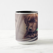 チョコレートラブラドールの子犬が車に乗る マグカップ (中央)