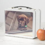 チョコレートラブラドールの子犬が車に乗る メタルランチボックス (インサイチュ)