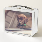 チョコレートラブラドールの子犬が車に乗る メタルランチボックス (正面)