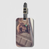 チョコレートラブラドールの子犬が車に乗る ラゲッジタグ (正面縦)