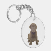 チョコレートラブラドールの子犬 キーホルダー (正面左)