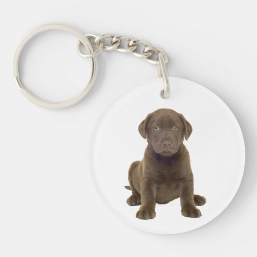 チョコレートラブラドールの子犬 キーホルダー (正面)
