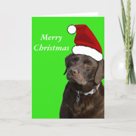 チョコレートラブラドールクリスマスカード シーズンカード