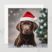 チョコレートラブラドールクリスマス (正面/裏面)