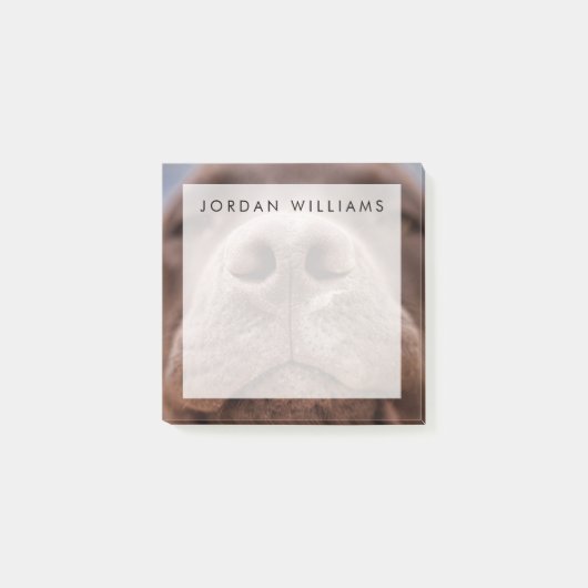 チョコレートラブラドールノーズクローズアップ ポストイット (正面)