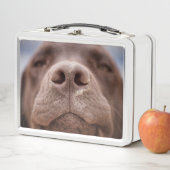 チョコレートラブラドールノーズクローズアップ メタルランチボックス (インサイチュ)