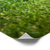 チョコレートラブラドールパピーとテニスボール ポスター (角)