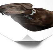 チョコレートラブラドールフォトポートレート フォトプリント            (角)