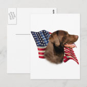 チョコレートラブラドールレトリエバーアメリカ国旗 ポストカード (正面/裏面)