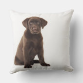 チョコレートラブラドールレトリエバーパピー クッション (裏面)