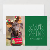 チョコレートラブラドールレトリバー犬 (正面/裏面)