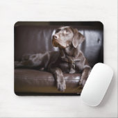 チョコレートラブラドールレトリバー マウスパッド (マウス)