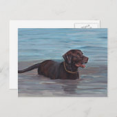 チョコレートラブラドールレトリバーWater Note Card ポストカード (正面/裏面)