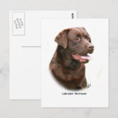 チョコレートラブラドールレトリーバー ポストカード (正面/裏面)