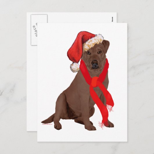 チョコレートラブラドールレトリーブクリスマス シーズンポストカード (正面/裏面)