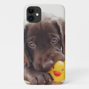 チョコレートラブラドール子犬とトイアヒル iPhone 11 ケース