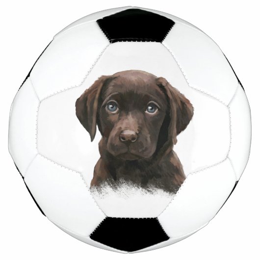 チョコレートラブラドール子犬 サッカーボール (正面)