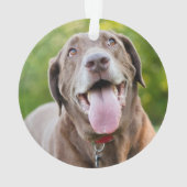 チョコレートラブラドール犬 オーナメント (裏面)