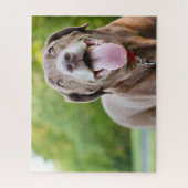 チョコレートラブラドール犬 ジグソーパズル (縦)