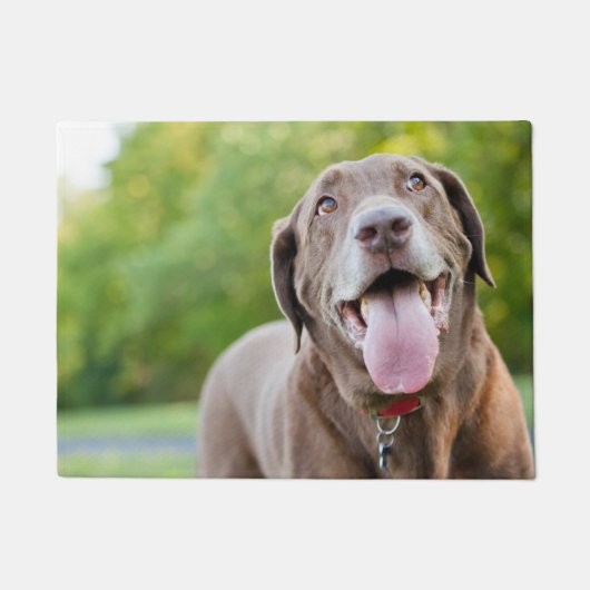 チョコレートラブラドール犬 ドアマット (正面)