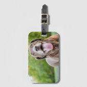 チョコレートラブラドール犬 ラゲッジタグ (正面縦)